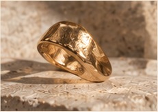 Arc Ring view